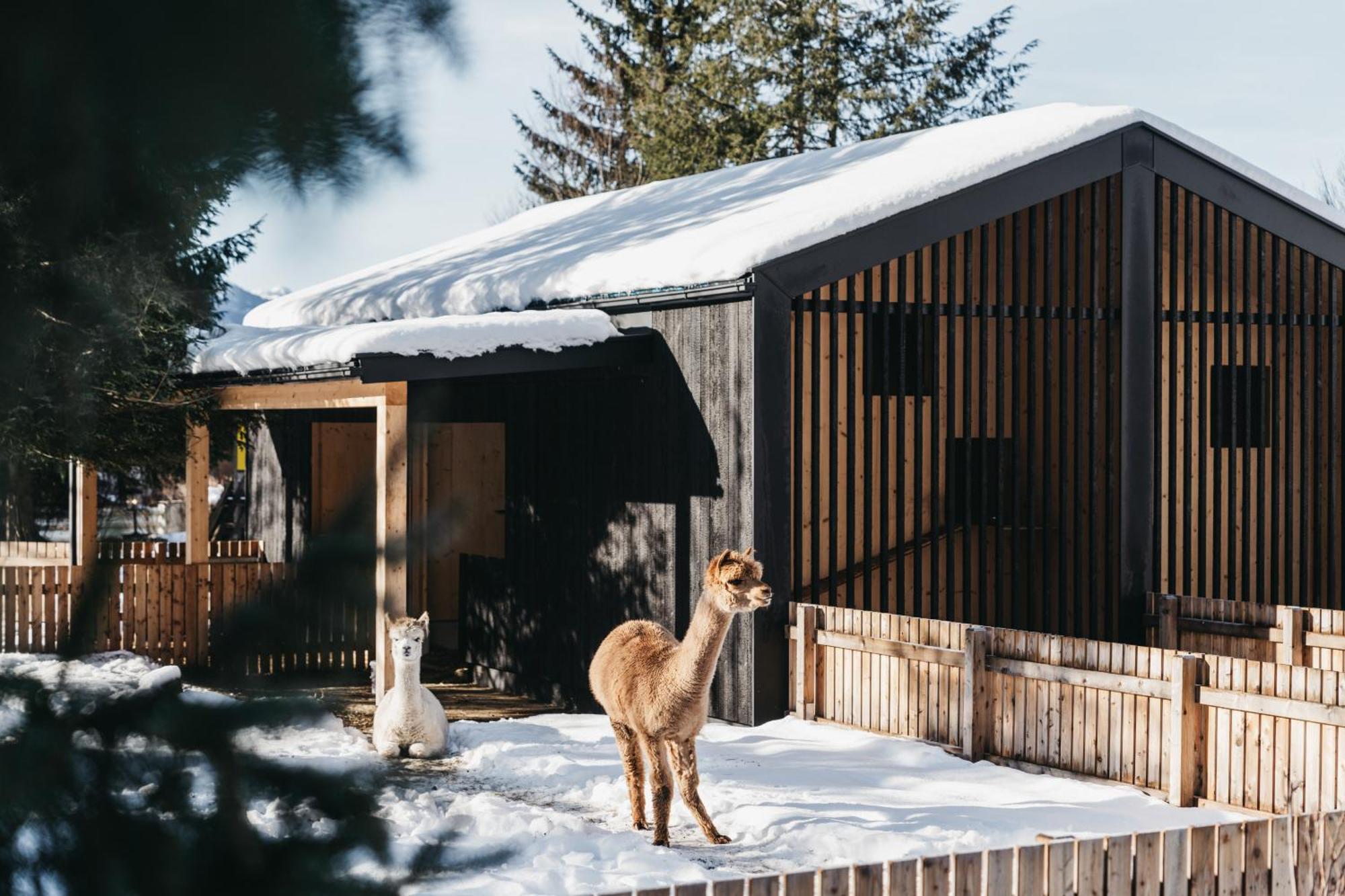 Hotel Oberforsthof Sankt Johann im Pongau Exteriér fotografie